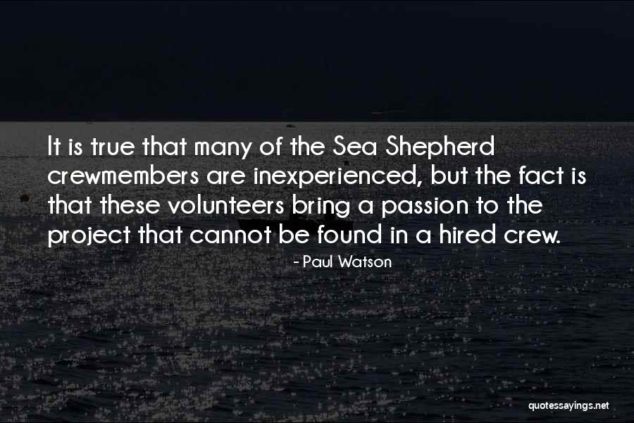 Paul Watson Quotes 835077