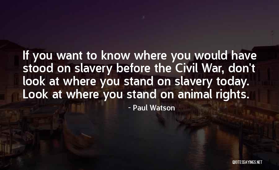 Paul Watson Quotes 919087