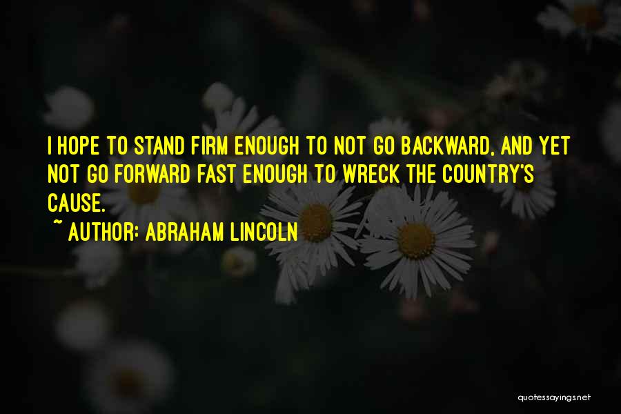 Paula Bonet Quotes By Abraham Lincoln