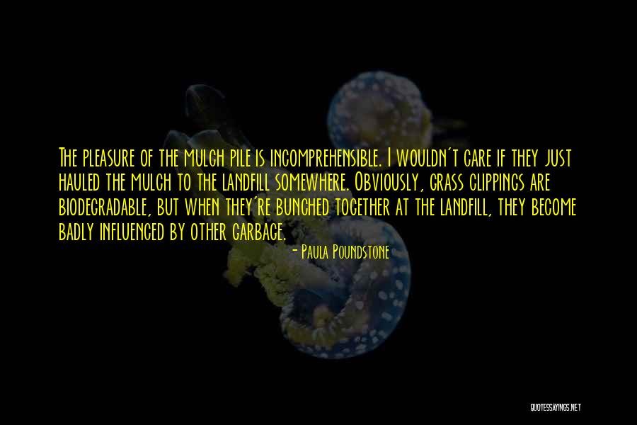 Paula Poundstone Quotes 967459 Paula Poundstone Quotes 967459