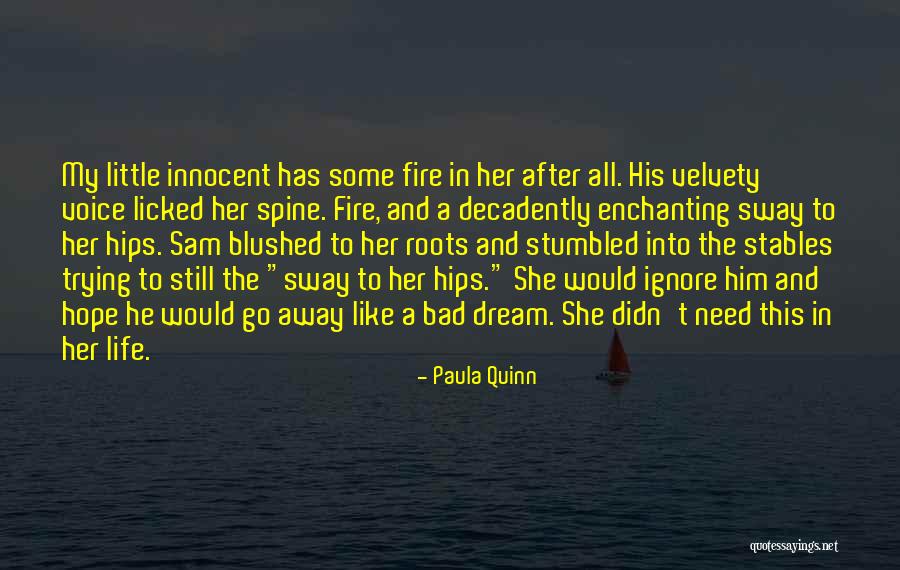 Paula Quinn Quotes 1630850