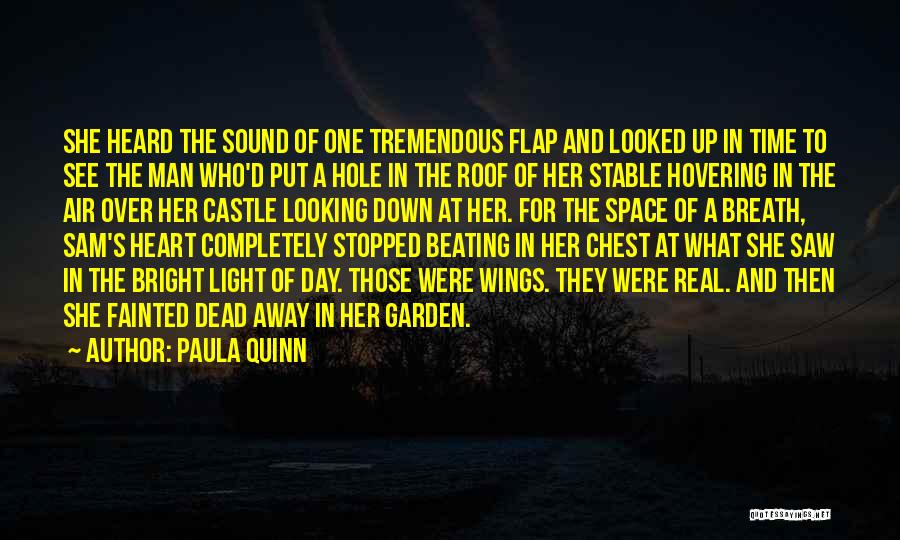 Paula Quinn Quotes 363954