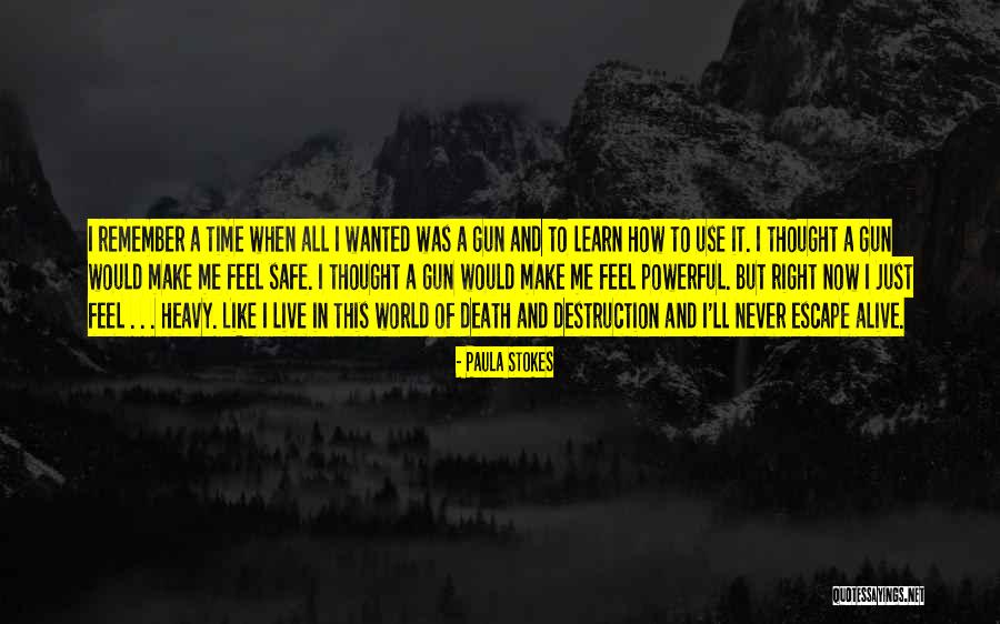 Paula Stokes Quotes 1102337 Paula Stokes Quotes 1102337