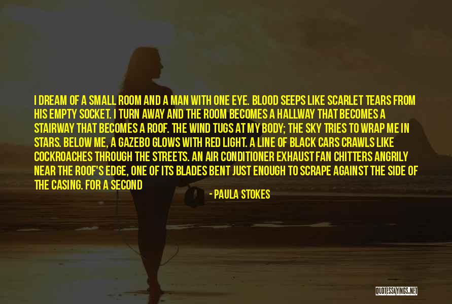 Paula Stokes Quotes 1836091 Paula Stokes Quotes 1836091