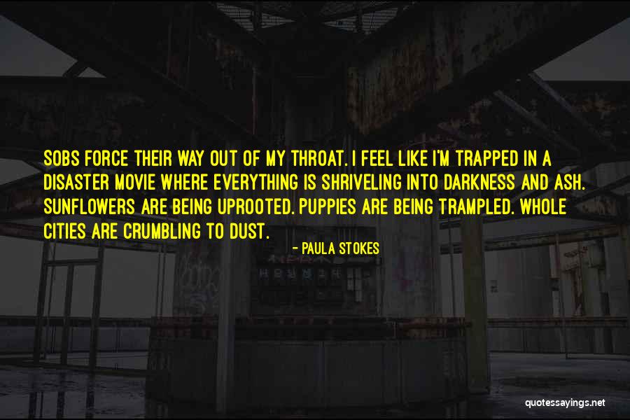 Paula Stokes Quotes 2100877 Paula Stokes Quotes 2100877