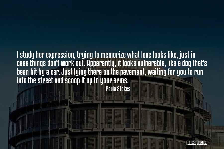 Paula Stokes Quotes 562280 Paula Stokes Quotes 562280