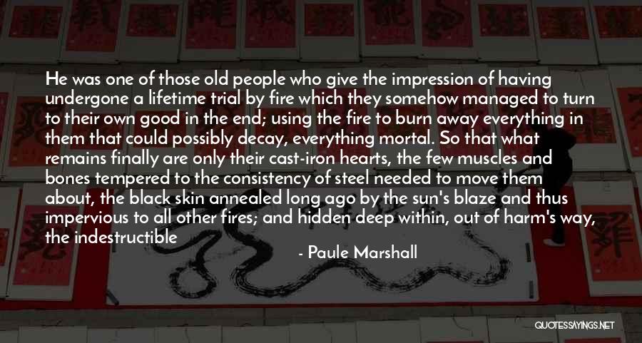 Paule Marshall Quotes 278358