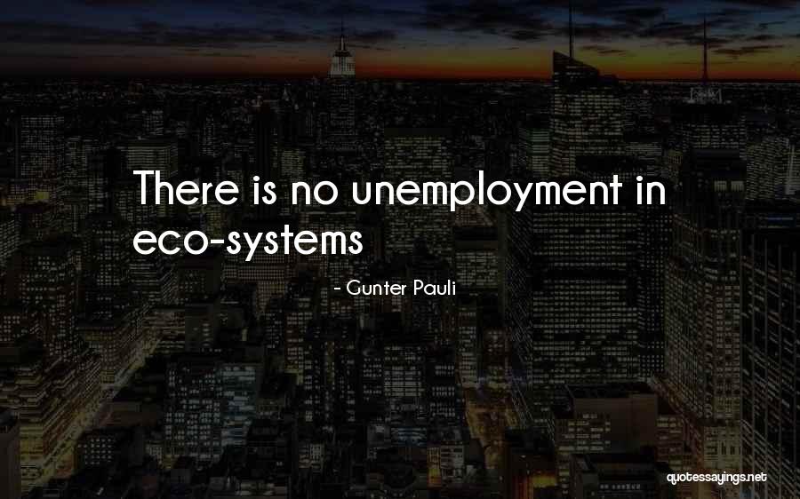 Pauli Quotes By Gunter Pauli Pauli Quotes By Gunter Pauli