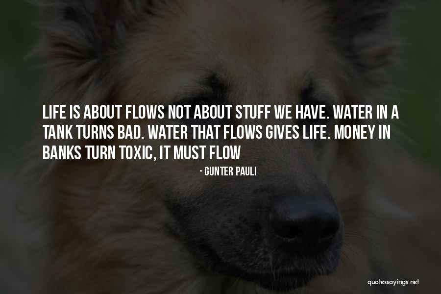 Pauli Quotes By Gunter Pauli Pauli Quotes By Gunter Pauli