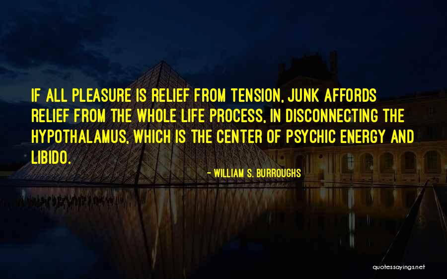 Paulius Drungilas Quotes By William S. Burroughs Paulius Drungilas Quotes By William S. Burroughs