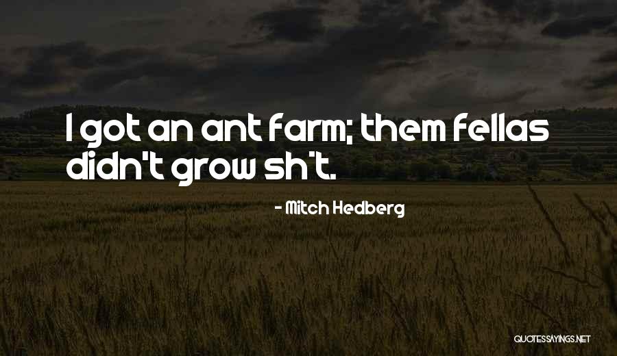 Paulla Lima Quotes By Mitch Hedberg Paulla Lima Quotes By Mitch Hedberg