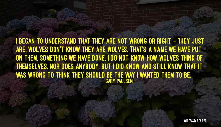 Paulsen Quotes By Gary Paulsen Paulsen Quotes By Gary Paulsen
