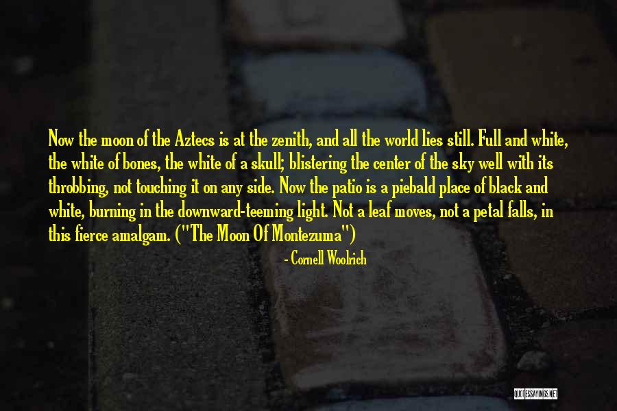 Paulsens Pharmacy Quotes By Cornell Woolrich Paulsens Pharmacy Quotes By Cornell Woolrich