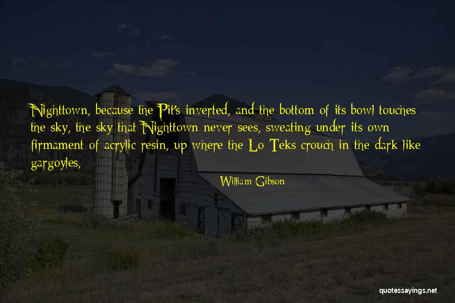 Paulsgrove Amenity Quotes By William Gibson Paulsgrove Amenity Quotes By William Gibson