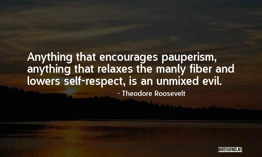 Pauperism Quotes By Theodore Roosevelt