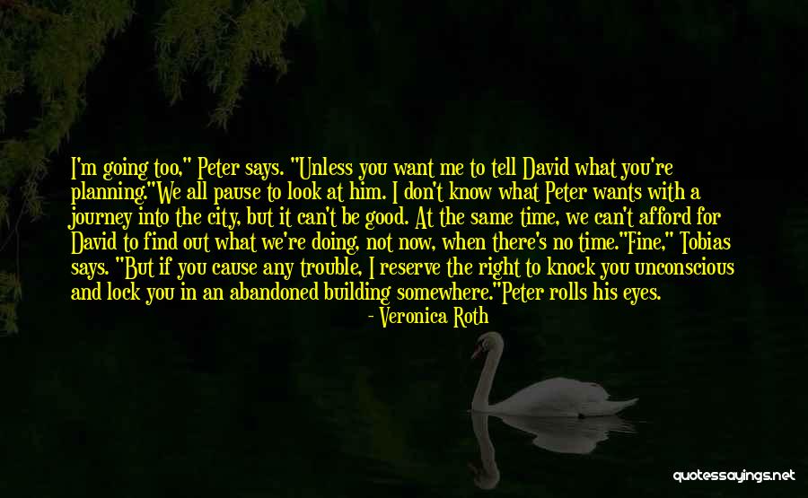 Pause Time Quotes By Veronica Roth