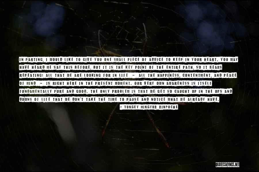 Pause Time Quotes By Yongey Mingyur Rinpoche Pause Time Quotes By Yongey Mingyur Rinpoche