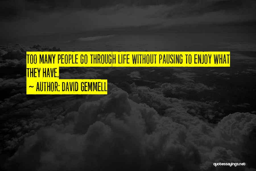 Pausing In Life Quotes By David Gemmell