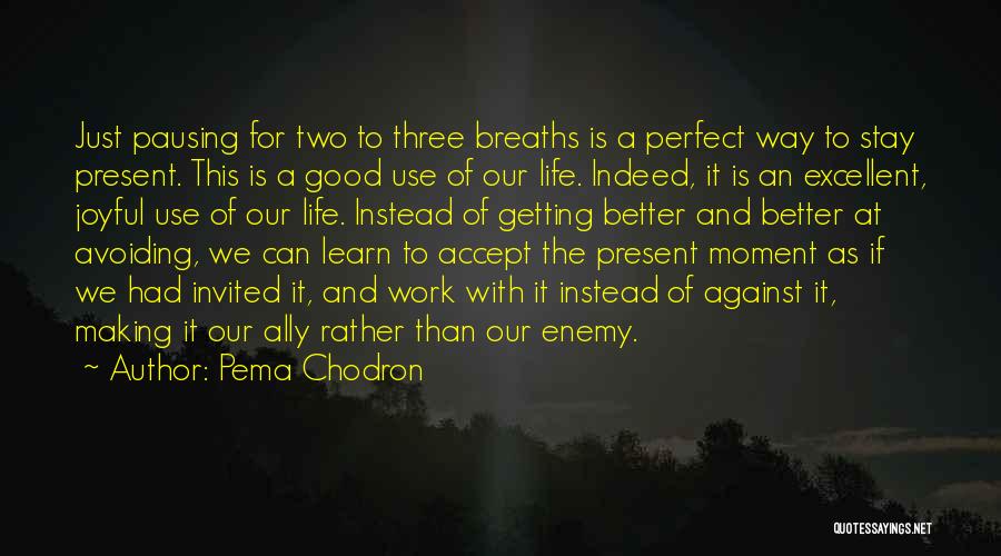 Pausing In Life Quotes By Pema Chodron