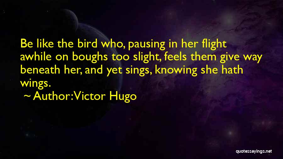 Pausing Quotes By Victor Hugo