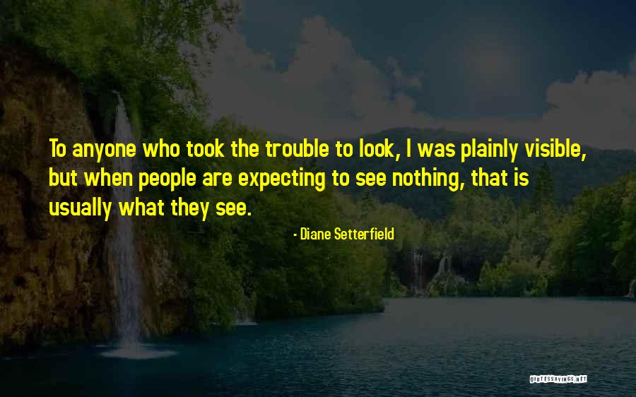 Pavalan Quotes By Diane Setterfield Pavalan Quotes By Diane Setterfield