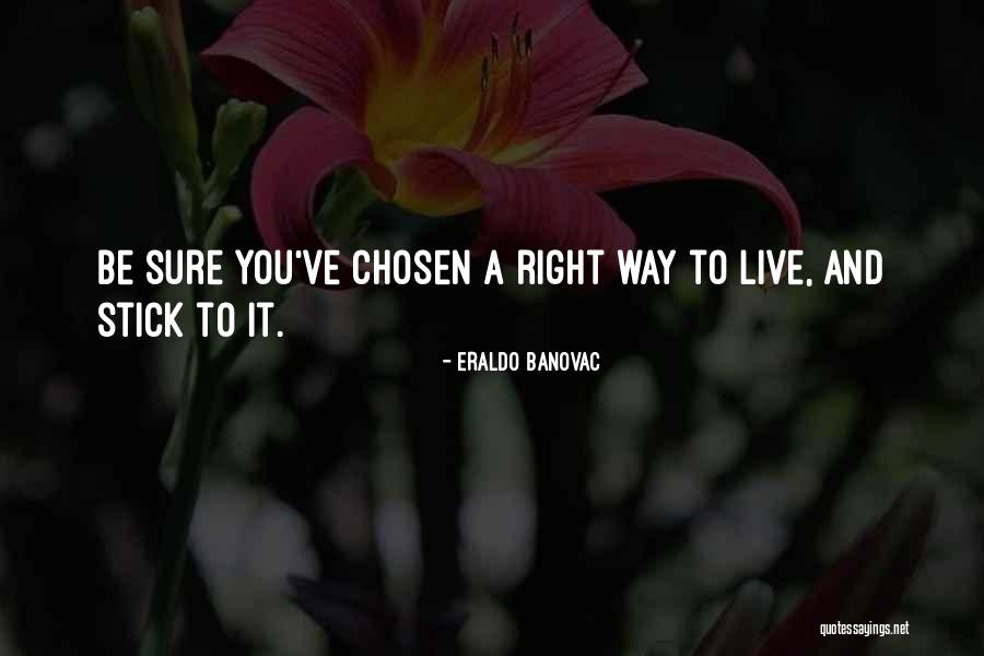 Pavan Kumar Ias Quotes By Eraldo Banovac Pavan Kumar Ias Quotes By Eraldo Banovac