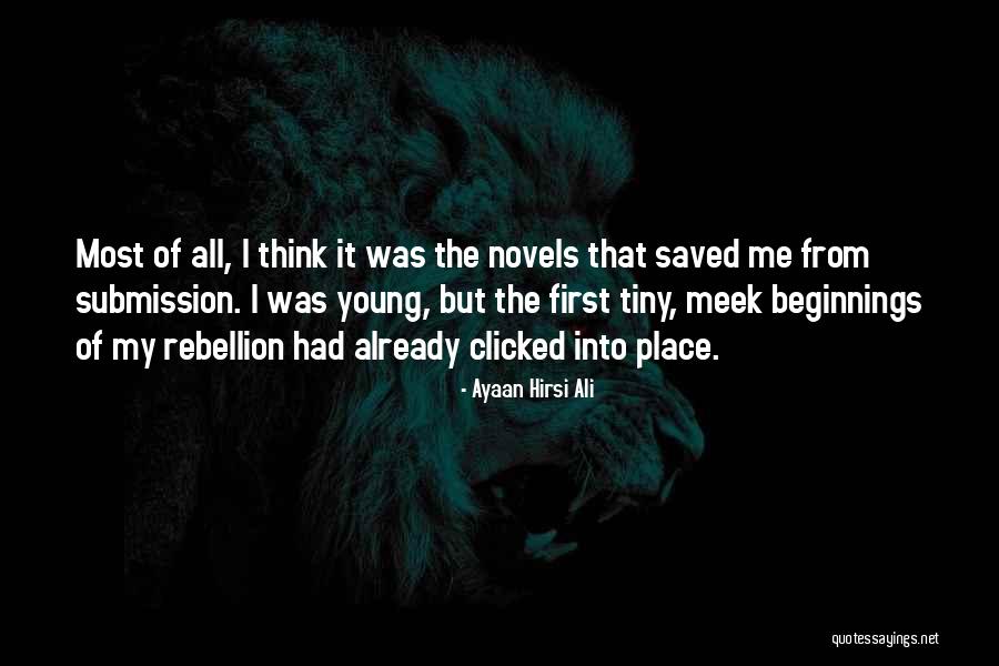 Pavano Baseball Quotes By Ayaan Hirsi Ali Pavano Baseball Quotes By Ayaan Hirsi Ali