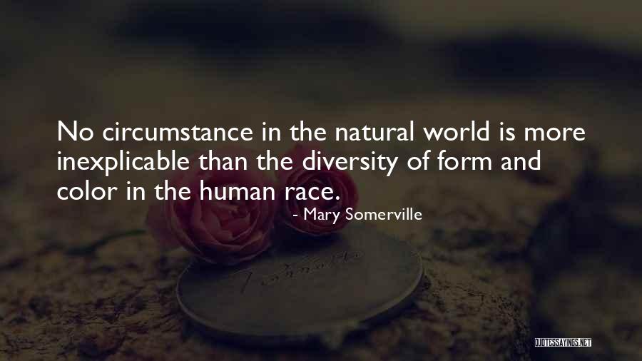 Pavela Sims Quotes By Mary Somerville Pavela Sims Quotes By Mary Somerville