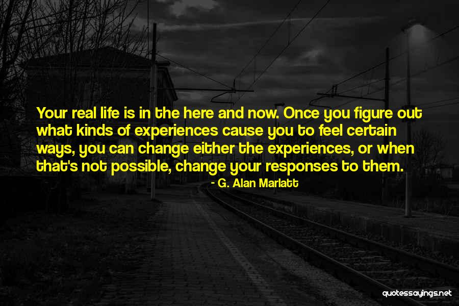 Pavements Adele Quotes By G. Alan Marlatt Pavements Adele Quotes By G. Alan Marlatt