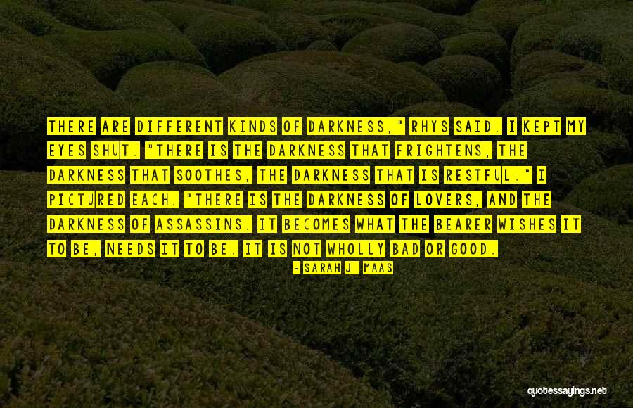 Pavenciai Quotes By Sarah J. Maas Pavenciai Quotes By Sarah J. Maas