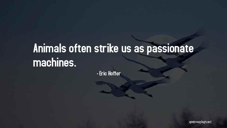 Pavenders Quotes By Eric Hoffer Pavenders Quotes By Eric Hoffer