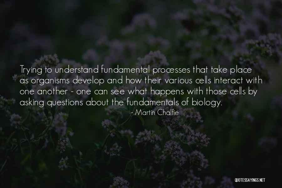 Pavey California Quotes By Martin Chalfie Pavey California Quotes By Martin Chalfie
