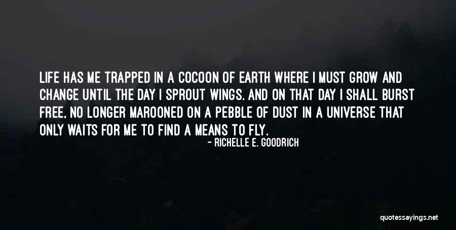 Pavey Excavating Quotes By Richelle E. Goodrich Pavey Excavating Quotes By Richelle E. Goodrich