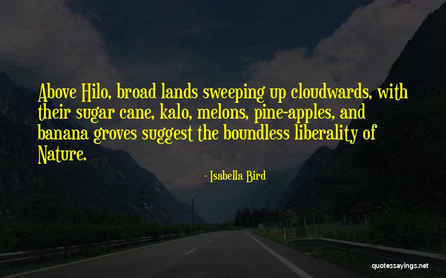 Pavia Pa Quotes By Isabella Bird Pavia Pa Quotes By Isabella Bird
