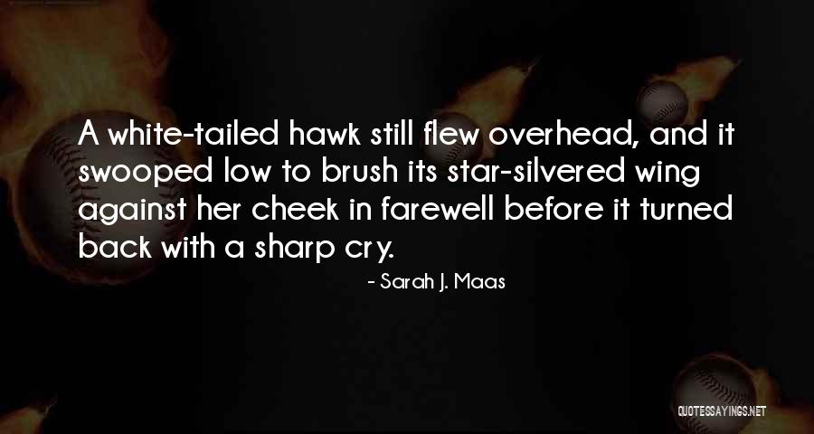 Pavilonis Obit Quotes By Sarah J. Maas Pavilonis Obit Quotes By Sarah J. Maas
