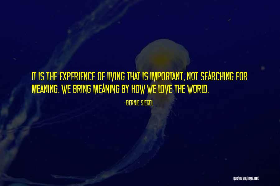 Pavimentos Quotes By Bernie Siegel Pavimentos Quotes By Bernie Siegel
