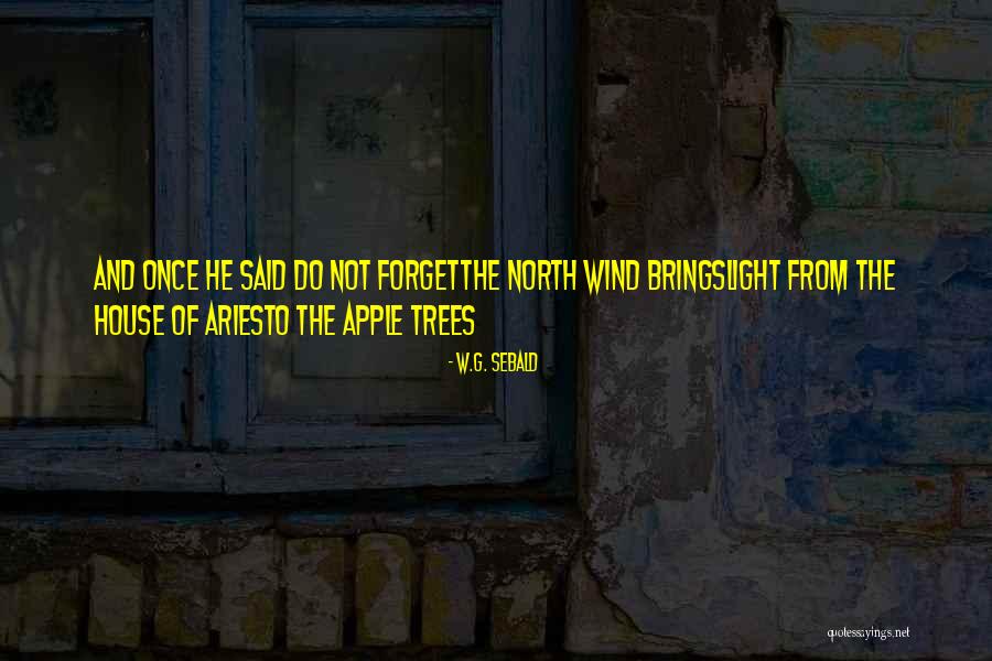 Pavios Quotes By W.G. Sebald Pavios Quotes By W.G. Sebald
