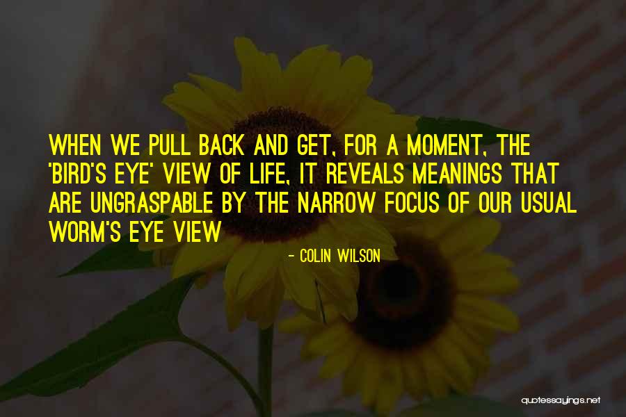 Pavise Medieval Quotes By Colin Wilson Pavise Medieval Quotes By Colin Wilson