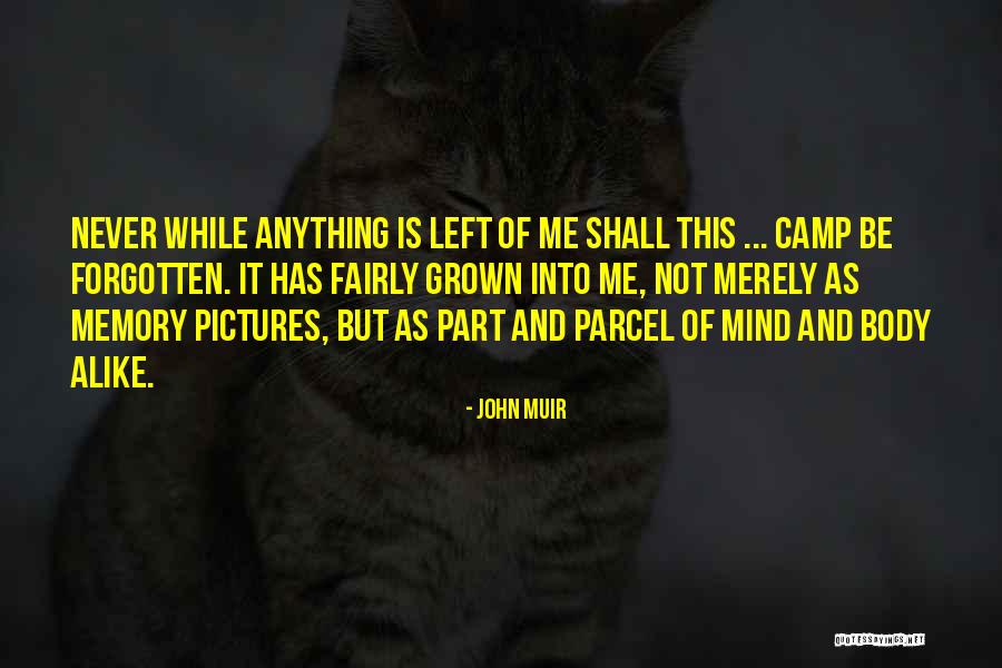 Pavisequa Quotes By John Muir Pavisequa Quotes By John Muir