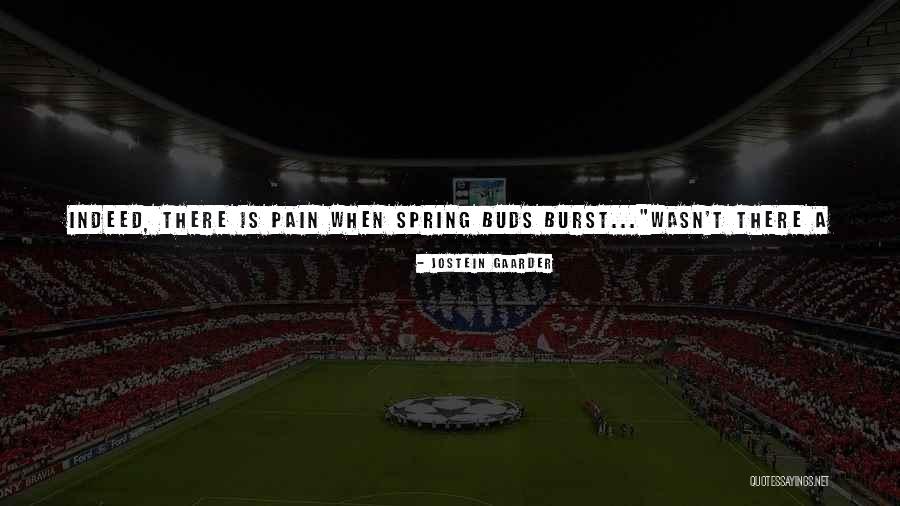 Pavlicas South Quotes By Jostein Gaarder Pavlicas South Quotes By Jostein Gaarder