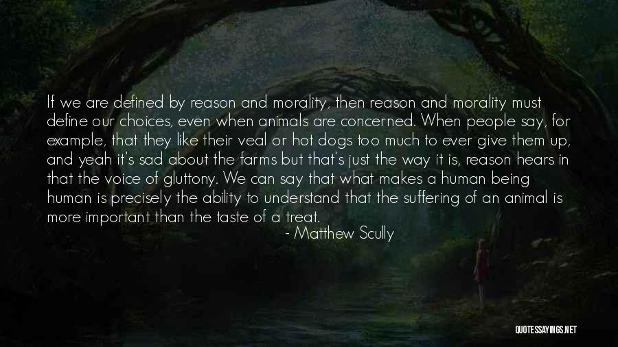 Pavonetti Architecture Quotes By Matthew Scully