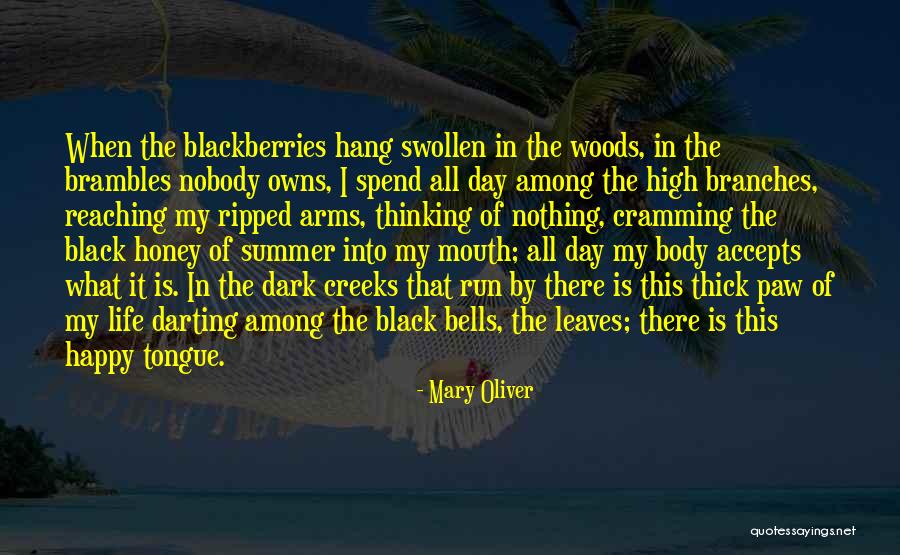 Paw Paw Leaves Quotes By Mary Oliver Paw Paw Leaves Quotes By Mary Oliver