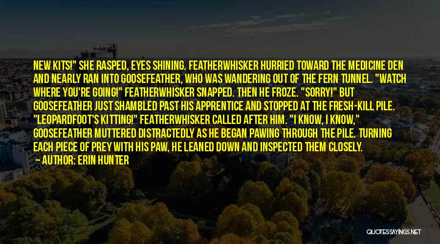 Paw Quotes By Erin Hunter