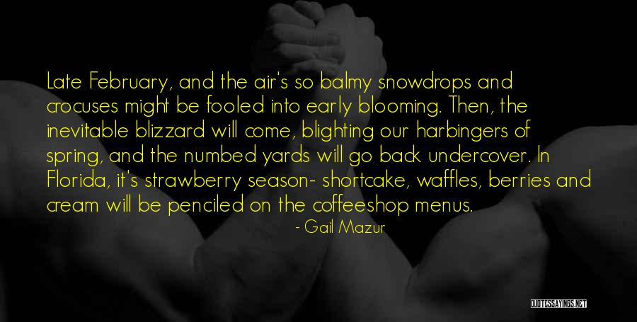 Pawson Park Quotes By Gail Mazur Pawson Park Quotes By Gail Mazur