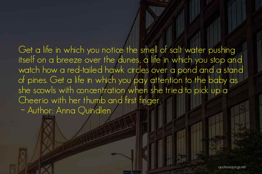 Pay Attention To Her Quotes By Anna Quindlen