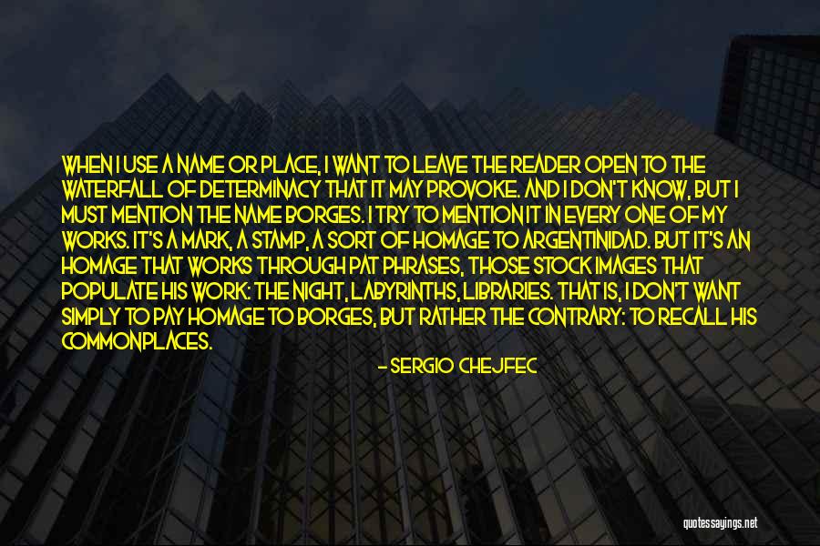 Pay Homage Quotes By Sergio Chejfec Pay Homage Quotes By Sergio Chejfec