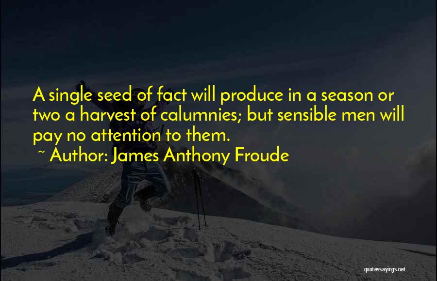 Pay No Attention Quotes By James Anthony Froude