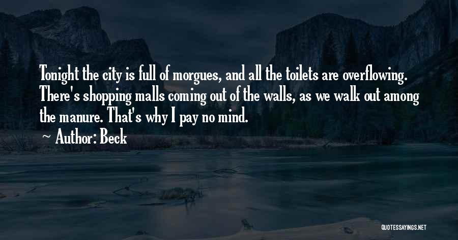 Pay No Mind Quotes By Beck