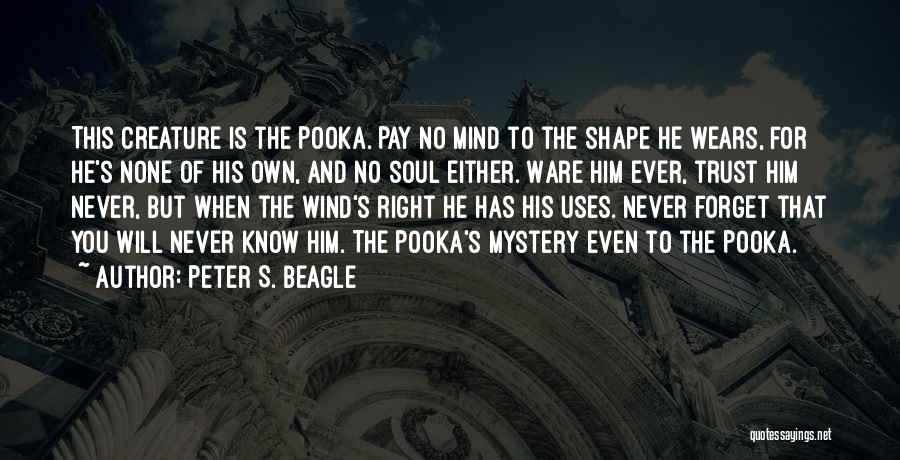 Pay No Mind Quotes By Peter S. Beagle