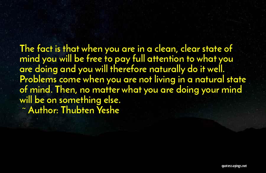 Pay No Mind Quotes By Thubten Yeshe